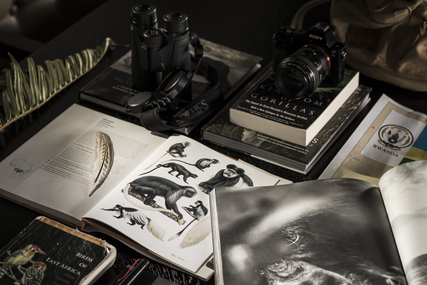 Destination Resort-Brand-4