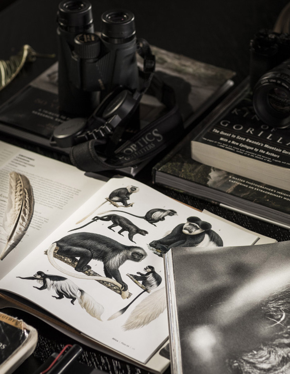 Experiential Travel-Brand