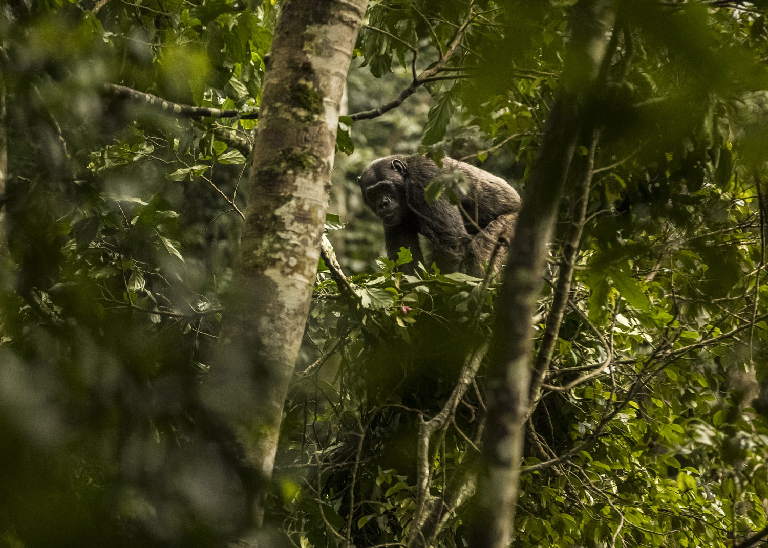 Destination Resort-Brand-4